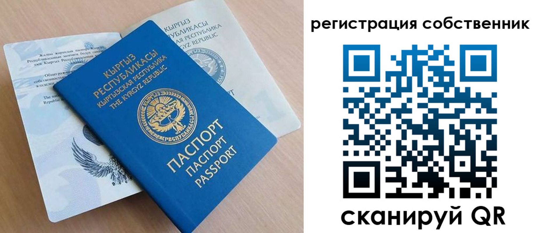 прописка законно в Заринске