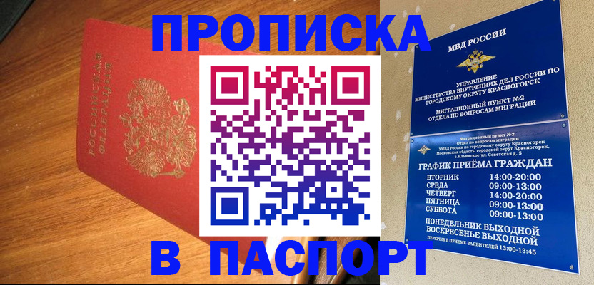 прописка 2025 в Заринске